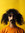 Wavels
