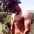 Parth Singh