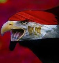 Khalid Elmarsfawy