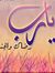 Alaa Ab...