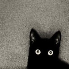 hanan al-herbish al-herbish