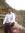 Raju Ch...