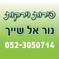 פירות וירקות