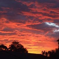 Audjimjackhenry Ellis