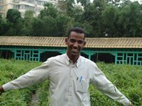 Ahmed Hashim