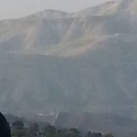 عصام مقدادي