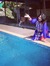 Reena