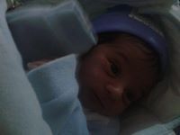 Youssef Youssef