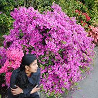 Kavitha Narayanan
