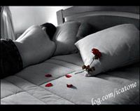 مالك الاناقة