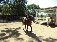 Carlos Arrieta Jimenez