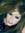 Balqees...