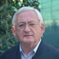 Στέλιος Παπαντωνίου