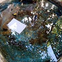 طلحت الحريري