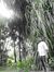 Vinay S...