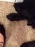 Erin