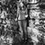Brianna Clow