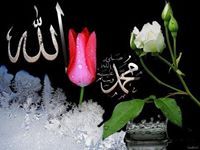 Muhammad Wani