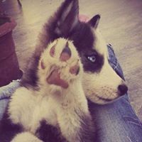 นาวิน วรรณเวช