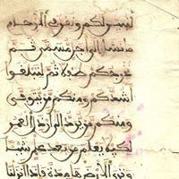 التايب ابوقادومة