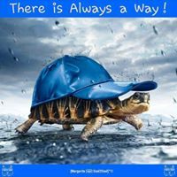 Tąŗêq Jàßáţèh