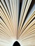First Novels Club