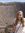 Anneleen