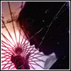 Hasuko