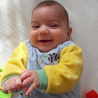 Николина Синапова