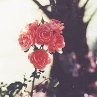 وليد الغامدي