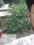 Naveed ...