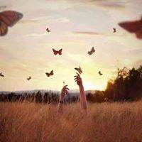 Muna Darwish
