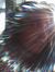 Rochell...