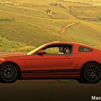 احمد المشهداني