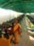 Sobha A...