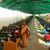 Sobha Amanchi