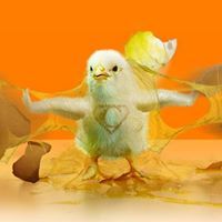 Duc Thanh