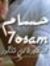 Hosam E...