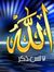 نجلاء حمدى