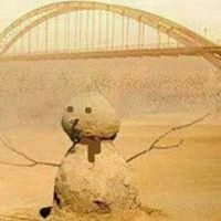 ضرغام الاسدی