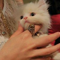 ساره المنصوري