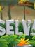 Selva P...