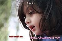 رنود الجهني