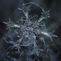 Илья Петров