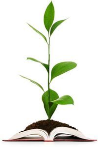 అగ్రి పాలిటెక్నిక్