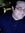 James Hoff | 11 comments