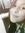Carolin...