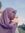 Fatin S...