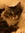 Izzy