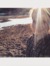 Hannah